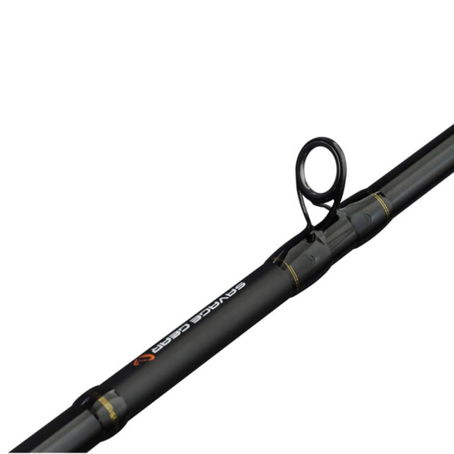 ALPHA SG2 Swimbait BC 2.28m 70-150g