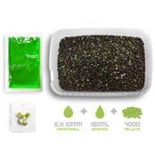 Pellet box Delphin Reaxe Ready&Go / Garlic-Butyric