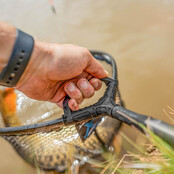 Monster XS Lift Net 22