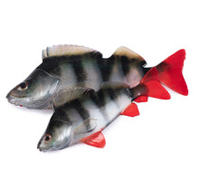 Ultra Natural Perch Fillet 6cm 4pcs