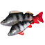 Rage Ultra Natural Perch Fillet 6cm 4pcs