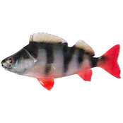 Ultra Natural Perch Fillet 6cm 4pcs