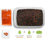 Pellet box Delphin Reaxe Ready&Go /  Mango Peach