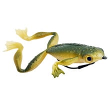 Froggy/Kikker 8cm 14Gr Tropischgroen