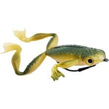 Froggy/Kikker 8cm 14Gr Tropischgroen