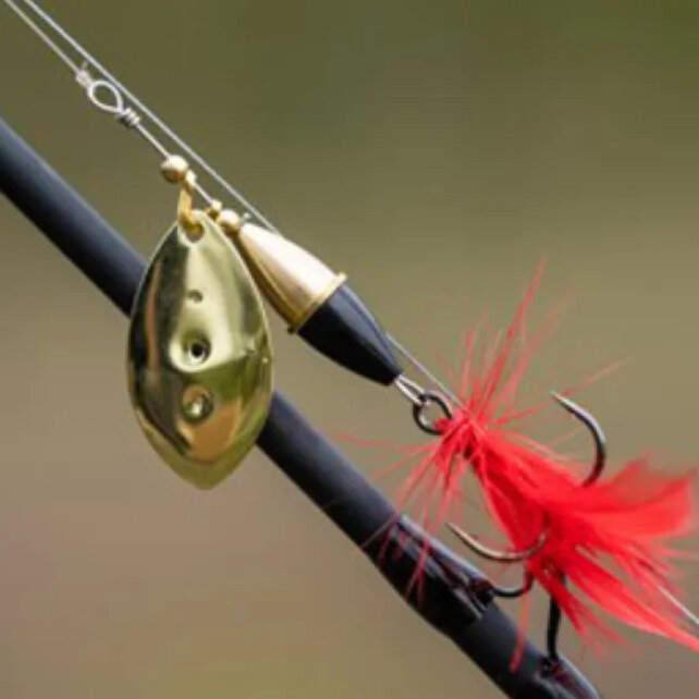 Chunky Spinner Gold/Red