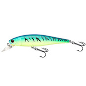 Pointer 100 Blue Chart Tiger