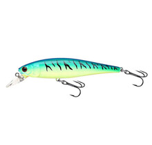 Pointer 100 Blue Chart Tiger