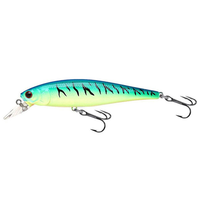Pointer 100 Blue Chart Tiger