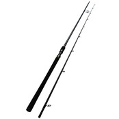 Sportcast Seabass 3.0M  25-65GR