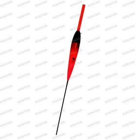 Competition Type 040510