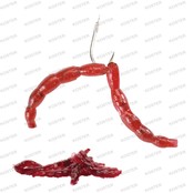 PowerBait Power Blood Worm