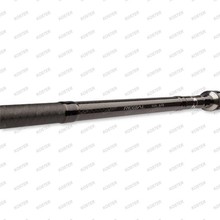 Regal Carp 3.0lb, 3.6M