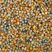 Particle Mix Particle Mix
