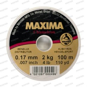 Maxima Chameleon