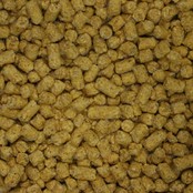 Babycorn Korrel Babycorn Korrel