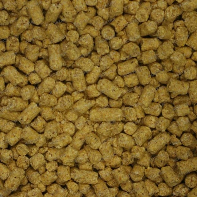 Babycorn Korrel Babycorn Korrel
