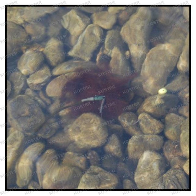 The Fuzz Lead System UFO Weed. 228 gr.