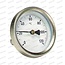 Saenger Rookthermometer