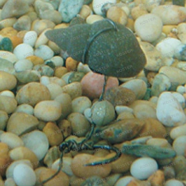 Tackle Imitation Snails Tackle Imitation Snails