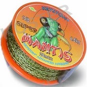 Super Mantis Green Super Mantis Green