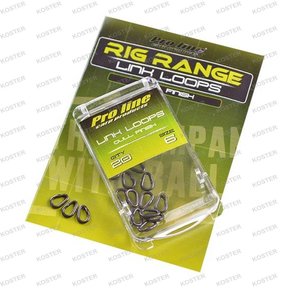 Loop Rings