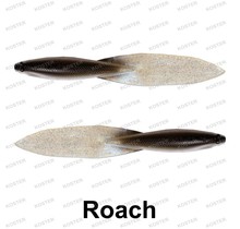 Beaver Tail Roach