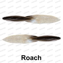 Beaver Tail Roach
