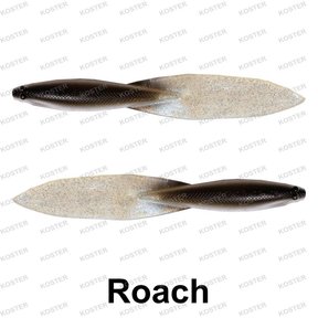 Beaver Tail Roach
