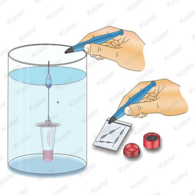 Dobbereiland ( Dosapiombo ) Dobbereiland ( Dosapiombo )
