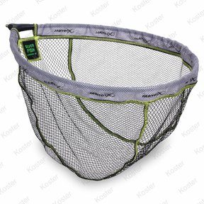 Silver Fish Pannet