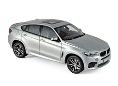 Producten getagd met BMW X6 1:18
