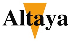 altaya models