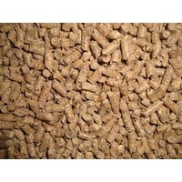 Paardenbrok Basis volle pallet (50 x 20KG)