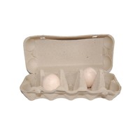 Jumbo Eierdozen voor 10 eieren