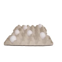 Tray voor 30 kippeneieren - sterke, stabiele en stapelbare pulp tray, herbruikbaar