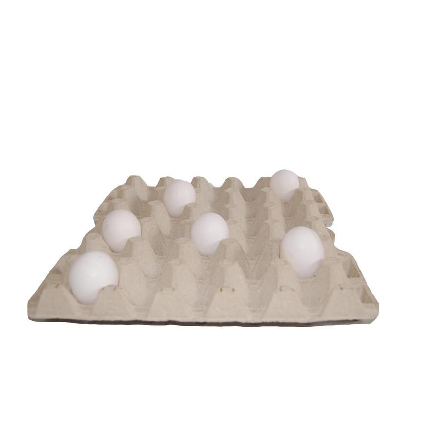 Tray voor 30 kippeneieren - sterke, stabiele en stapelbare pulp tray, herbruikbaar