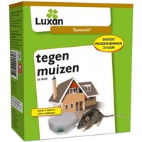 Tomorin muizengif - gif in 2 lokdozen