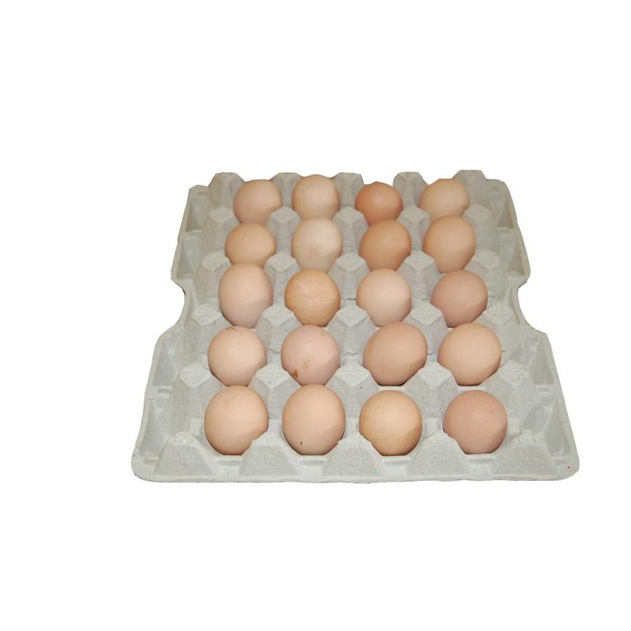 Eiertrays XL eieren -