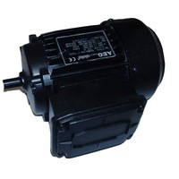 Elektromotor (bg 63)