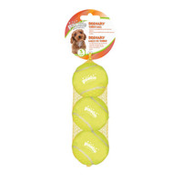 Squeaky Tennis Ball 3-pack