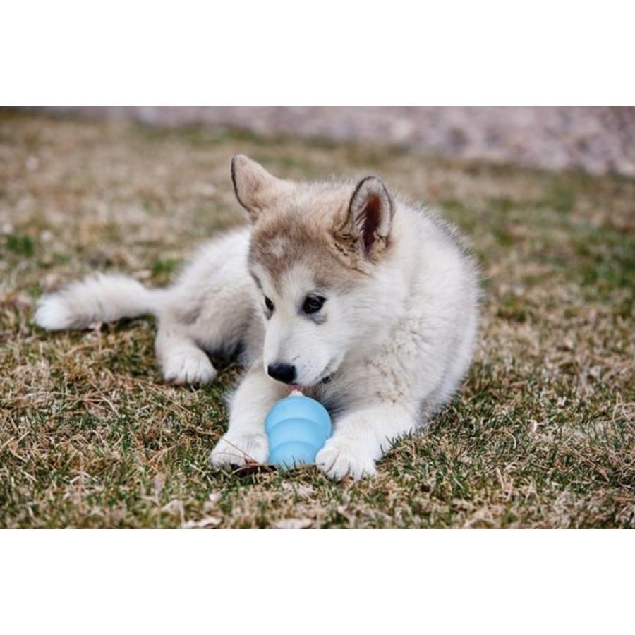 Puppy speeltje