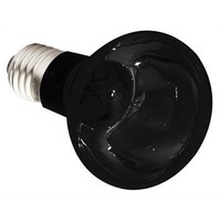 Nachtgloed lamp moonlight bulb voor reptielen terrarium