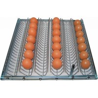 Eierrek voor 48 kippen eieren