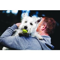 Air Squeaker Tennis Ball