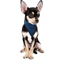 Cooling Pet Bandana Small