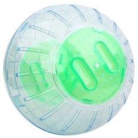 Exercise Ball