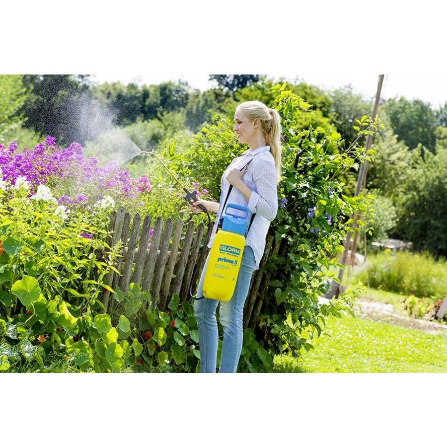 Drukspuit Prima 5 met messing spuitlans 5 liter | 3 bar