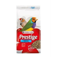 Prestige Tropische Vogel