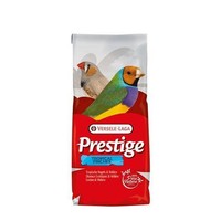 Prestige Tropische Vogel